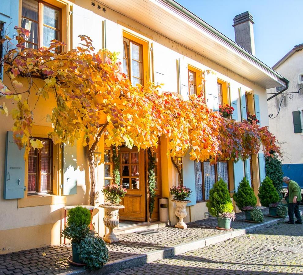 Ferienwohnung Le Cinquante Quatre Perroy Exterior foto